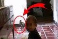 Incredibile! Creatura umanoide alta 20 cm appare in un video casalingo