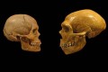 Denti preistorici rinvenuti in Cina definiscono una nuova e misteriosa specie umana